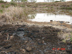 Oilfield Contamination
