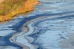 Attorney for Pollution or Contamination Claims